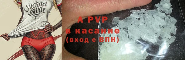 ECSTASY Магас