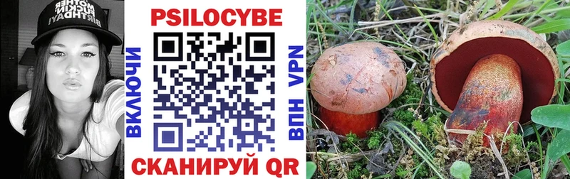 Псилоцибиновые грибы мицелий  как найти закладки  Рубцовск 